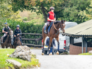 AK021025-7 - Believitanducan